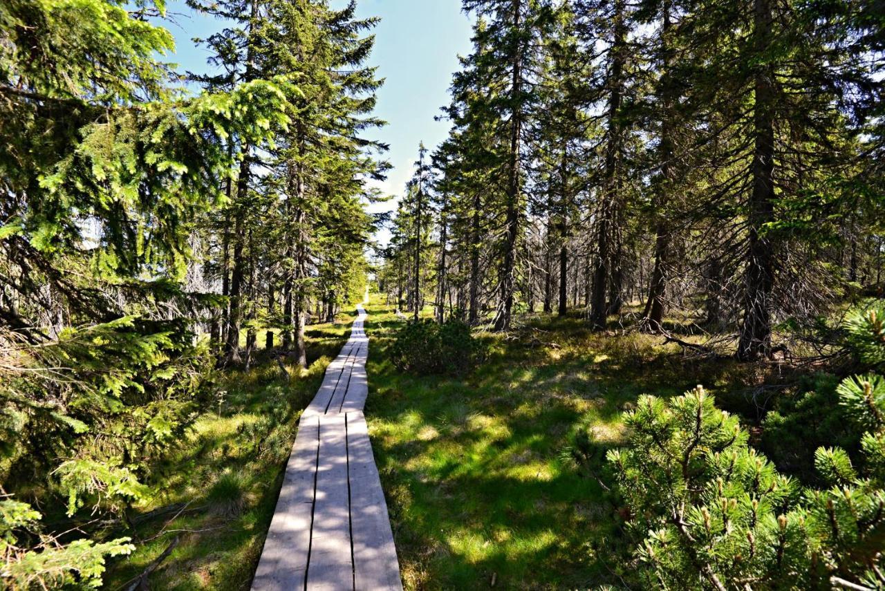 Villa Pardubické boudy Janské Lázně Esterno foto